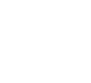 Kopierertransport Hamburg – fachgerechter Transport schwerer Kopierer und Drucker